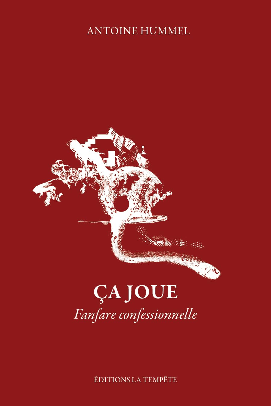 Ca joue: Fanfare confessionnelle book