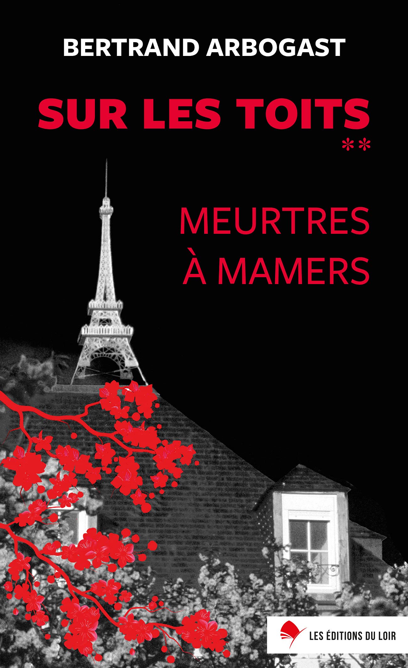 Meurtres à Mamers : Sur les toits 2 book