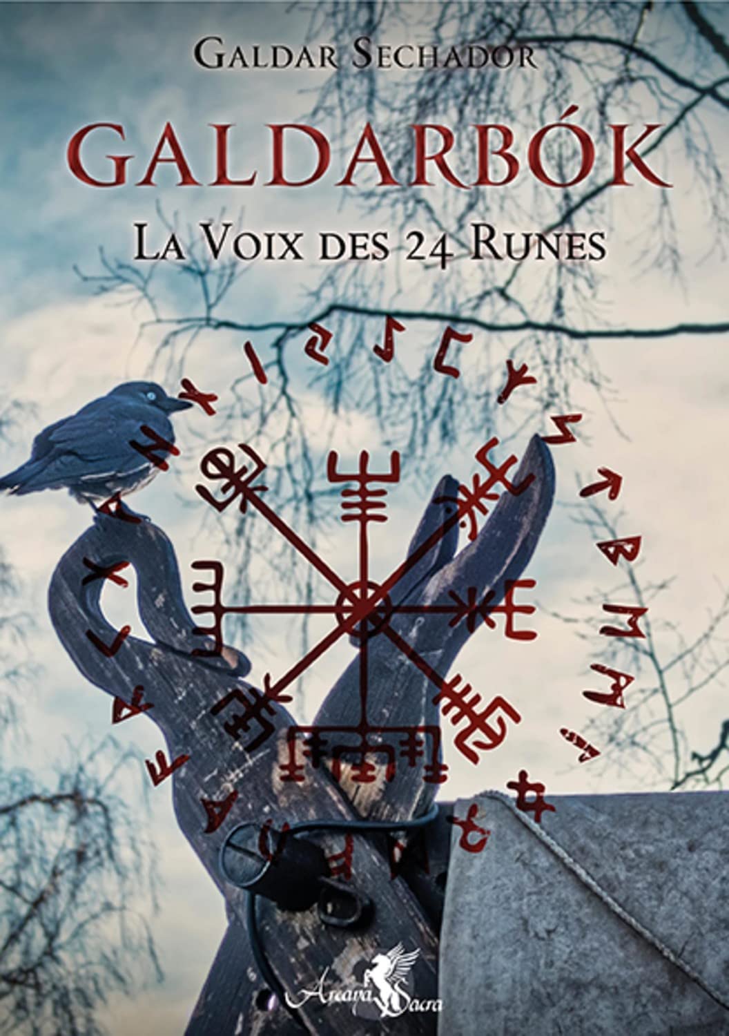 Galdarbok Tome 1 - La Voix des 24 Runes book