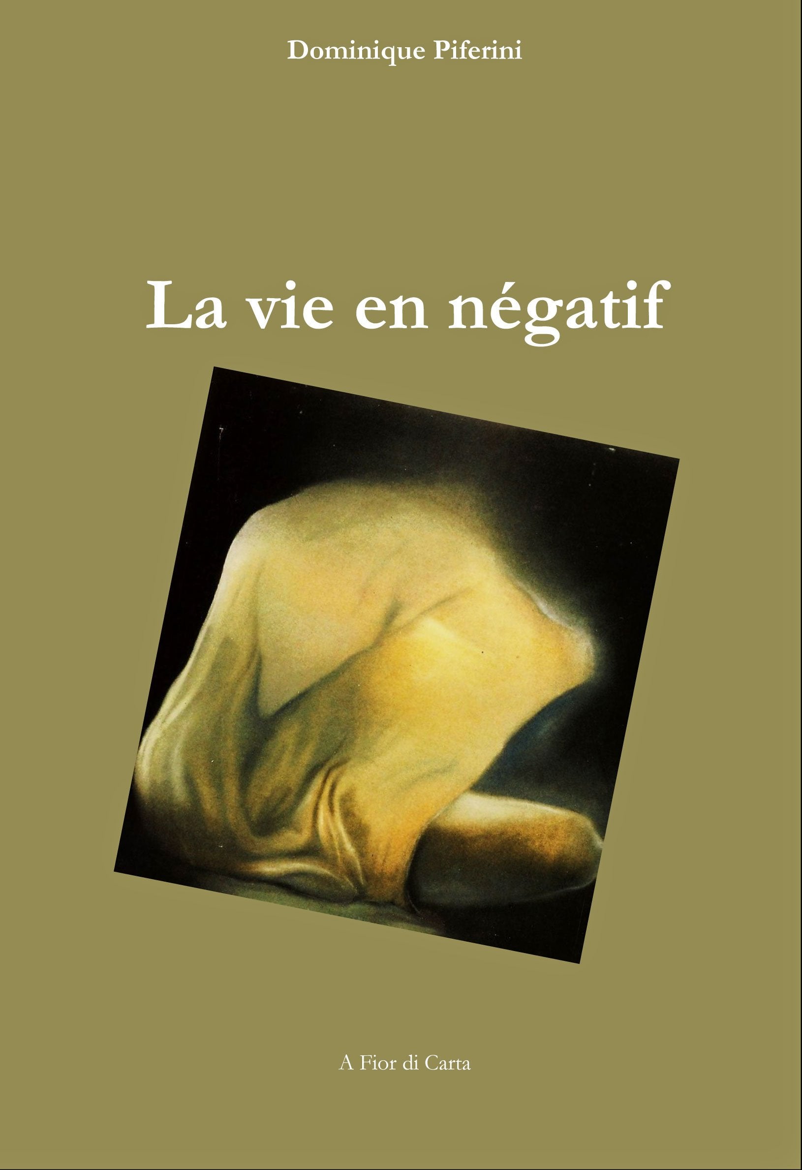 La vie en négatif book