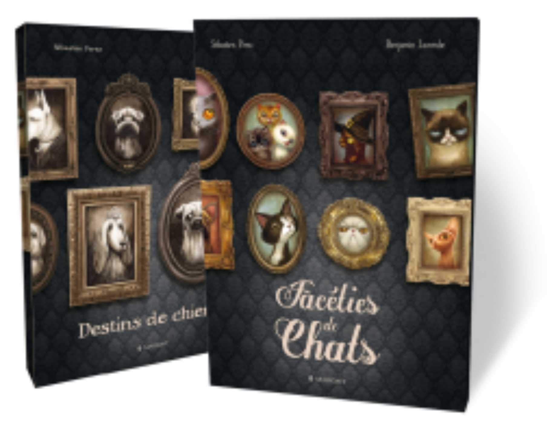 Coffret facéties de chats, destins de chiens: Facéties de chats ; Destins de chiens. Avec 2 posters Children's books