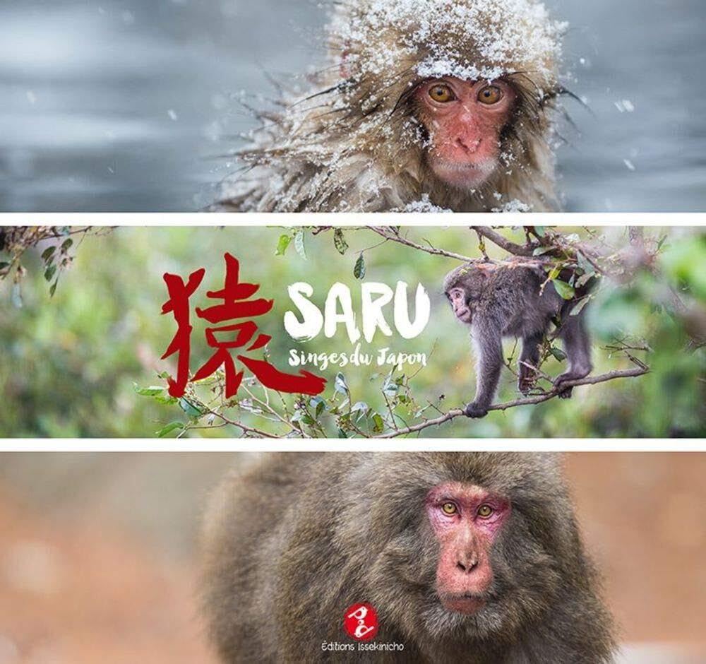 Saru - Singes du Japon: Singe du Japon Film, Art & Culture