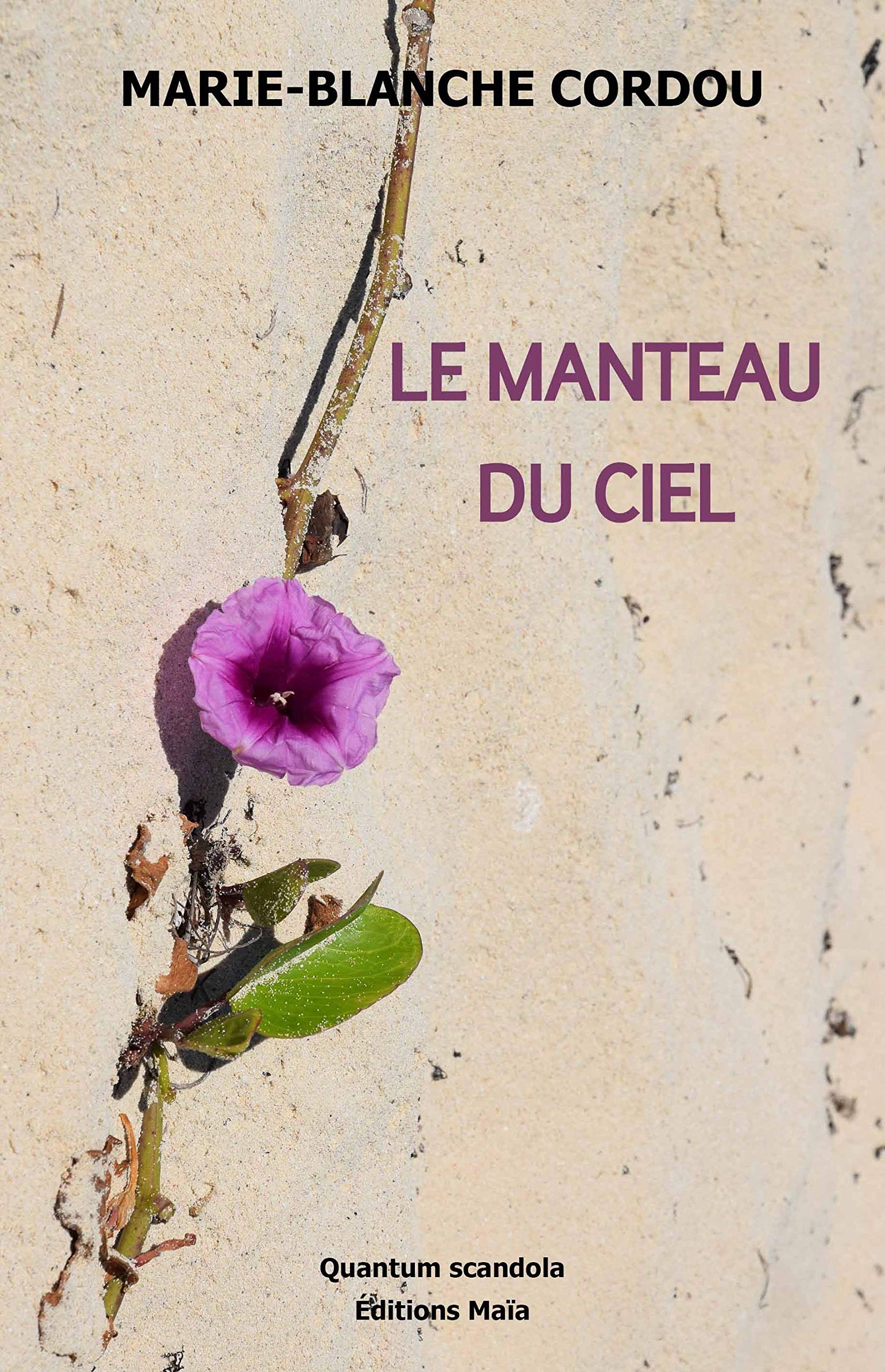 Le manteau du ciel book
