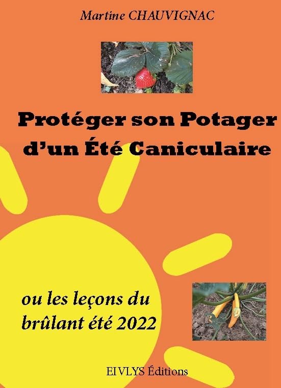 Protéger son potager d'un été caniculaire: ou les leçons du brûlant été 2022 Books