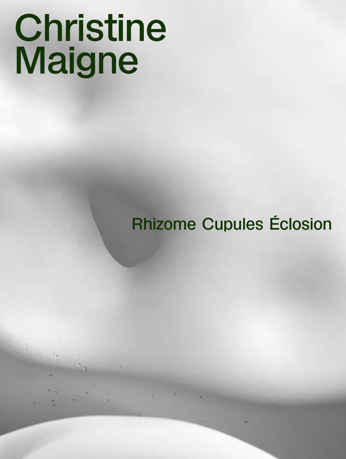 Rhizome Cupules Éclosion: Œuvres pérennes dans l'espace public book