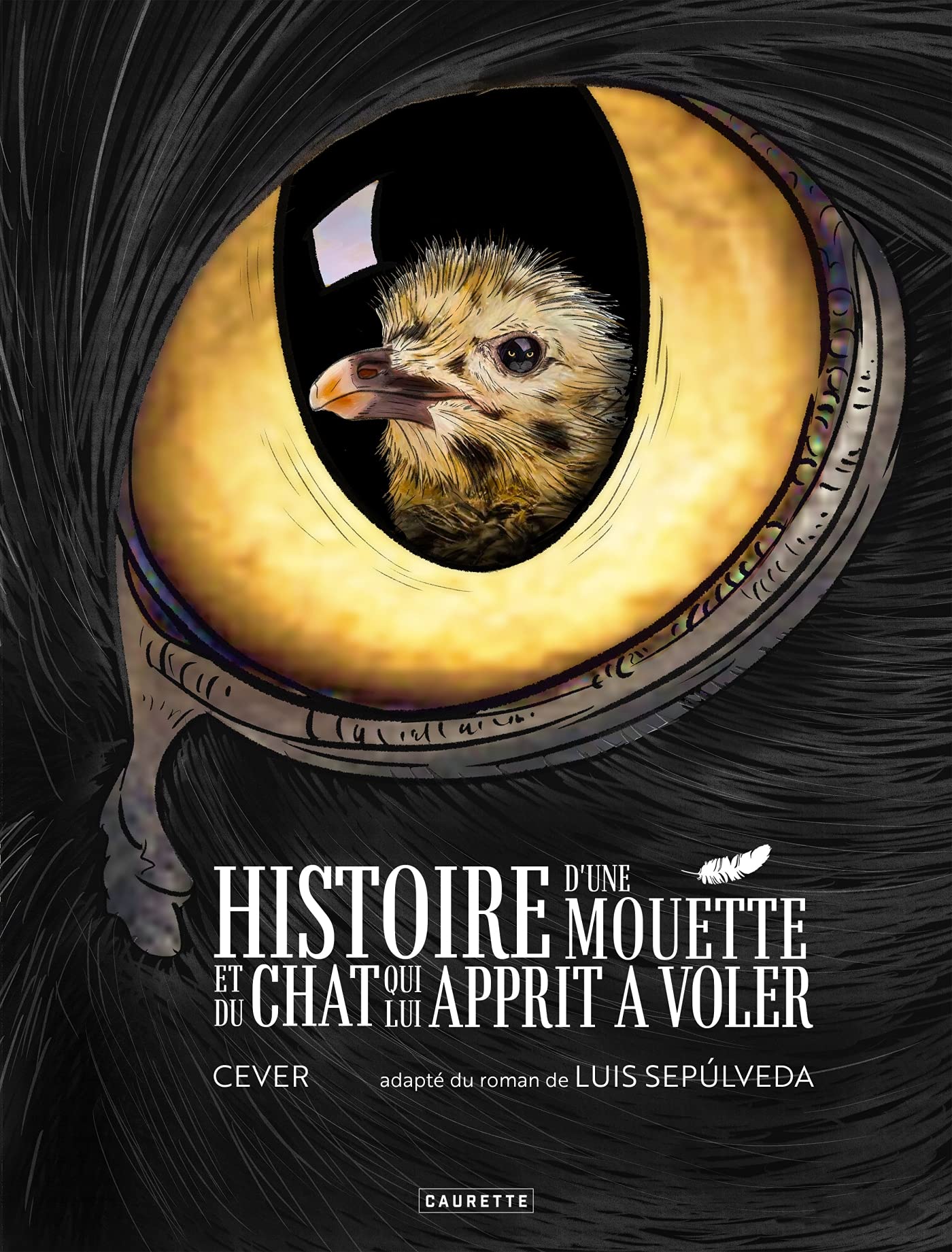 Histoire d'une mouette et du chat qui lui apprit à voler book