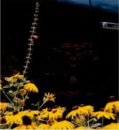 Product Image: Mystery street