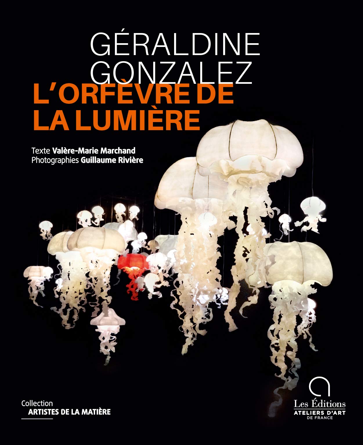 Géraldine Gonzalez, l'orfèvre de la lumière book