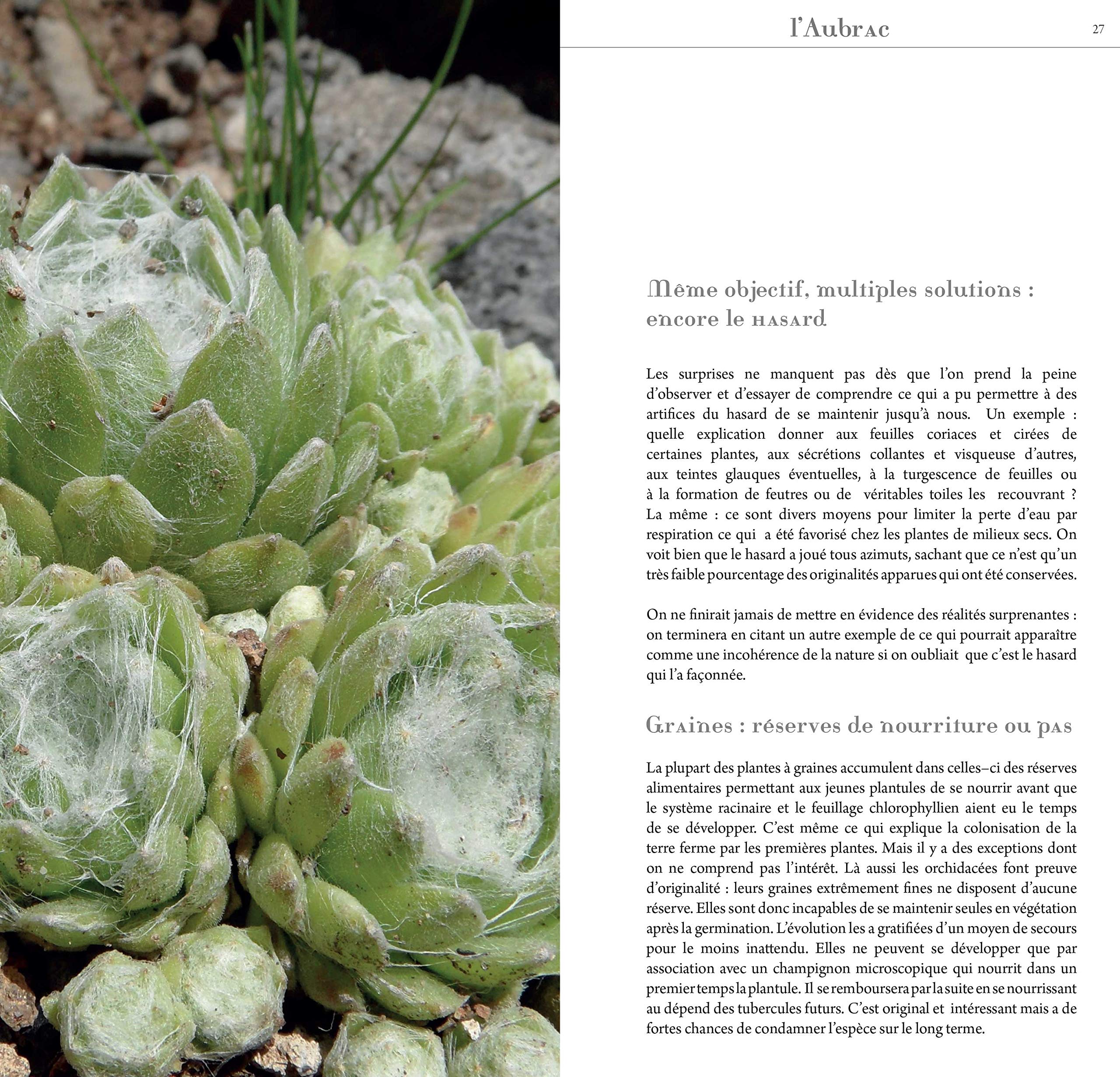 Flore et Patrimoine de l'Aubrac Leisure, Home & Garden