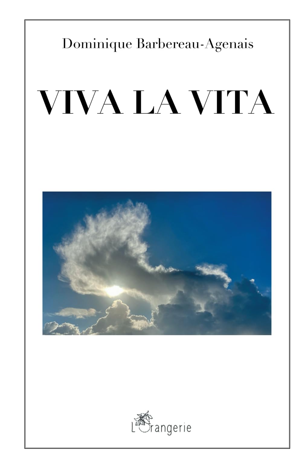 Viva La Vita book