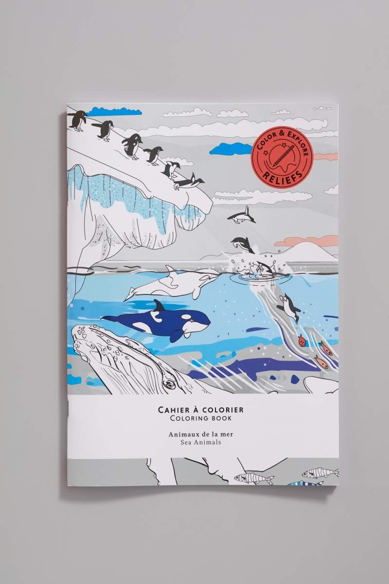 Cahier à colorier – Animaux de la mer Social Sciences