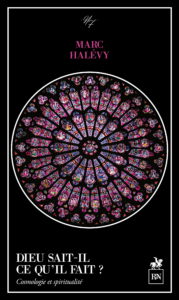 Dieu sait-il ce qu'il fait ? : cosmologie et spiritualité Contemporary literature