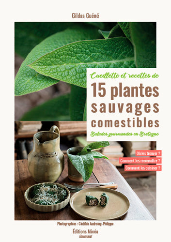 Cueillette et recettes de 15 plantes sauvages comestibles : balades gourmandes en Bretagne Books