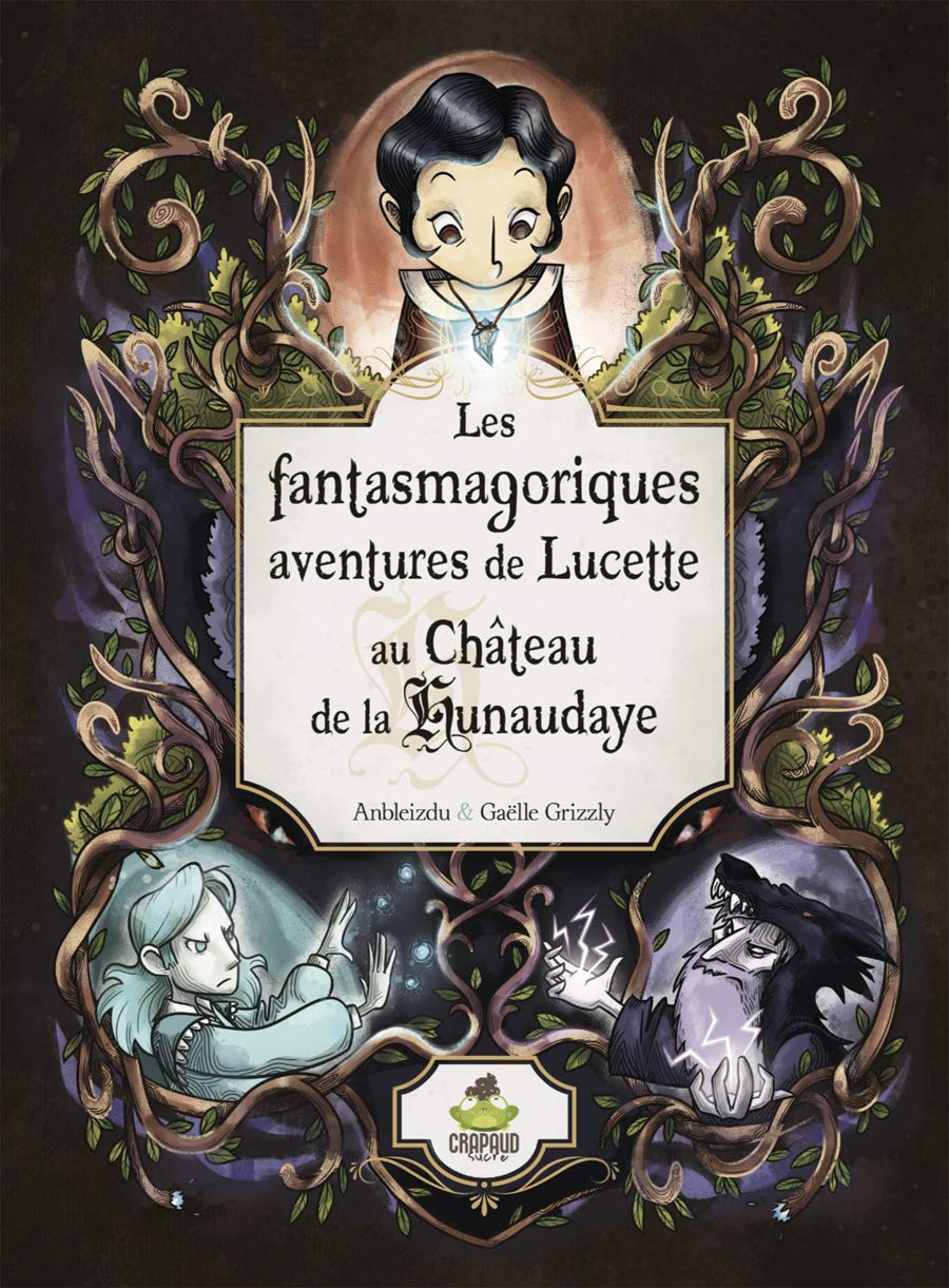 LES FANTASMAGORIQUES AVENTURES DE LUCETTE AU CHÂTEAU DE LA HUNAUDAYE book