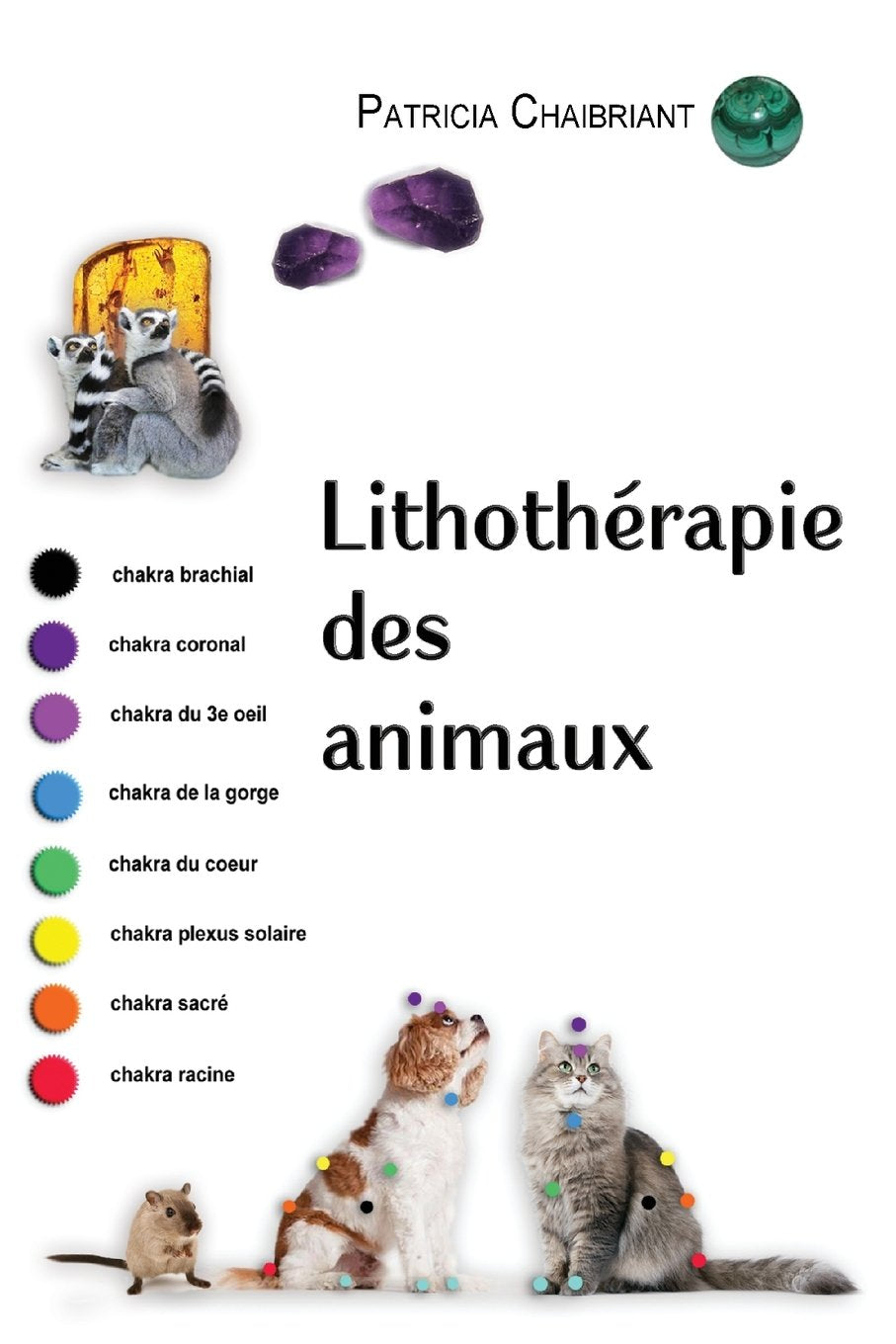 Lithothérapie des animaux Pets