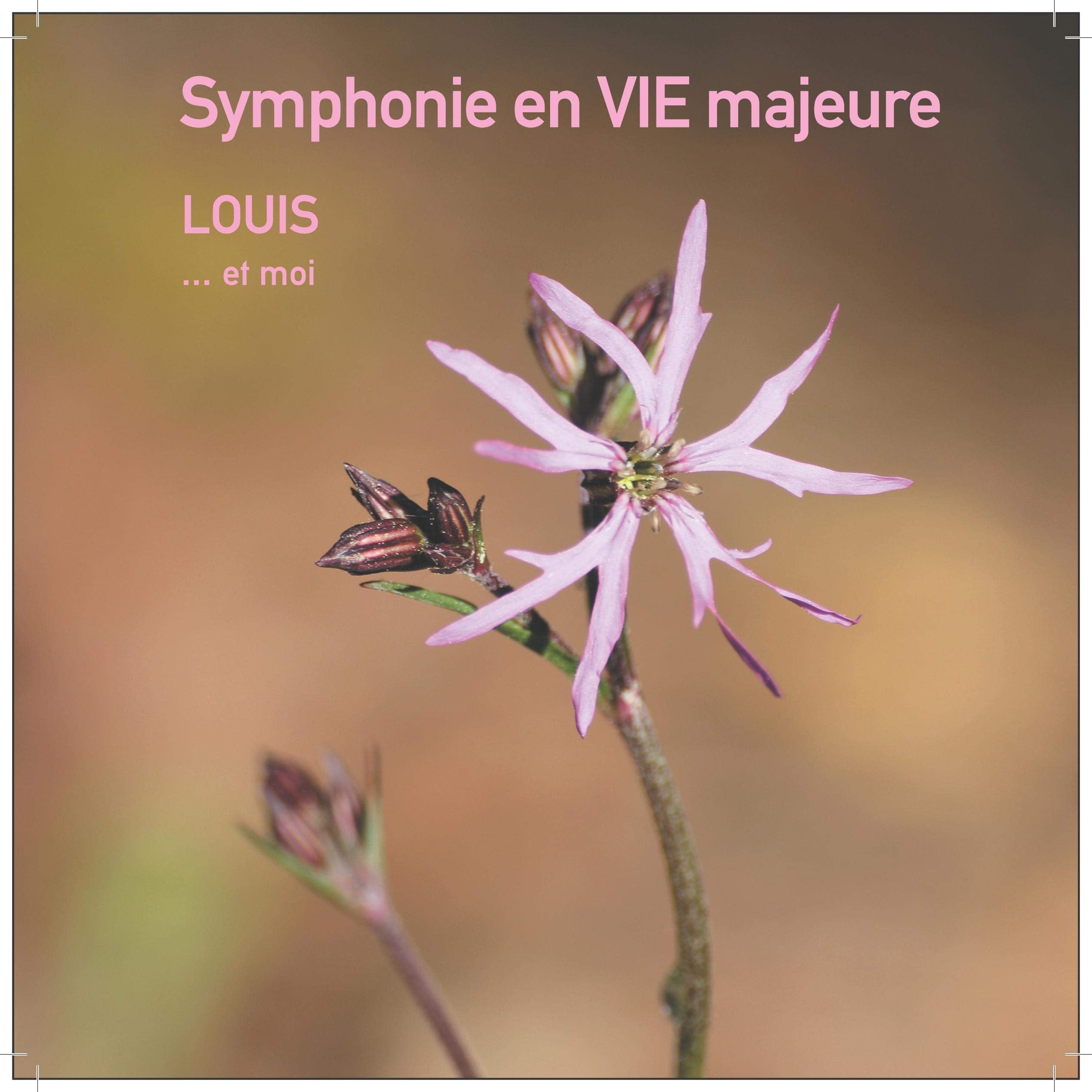 Symphonie en VIE majeure book