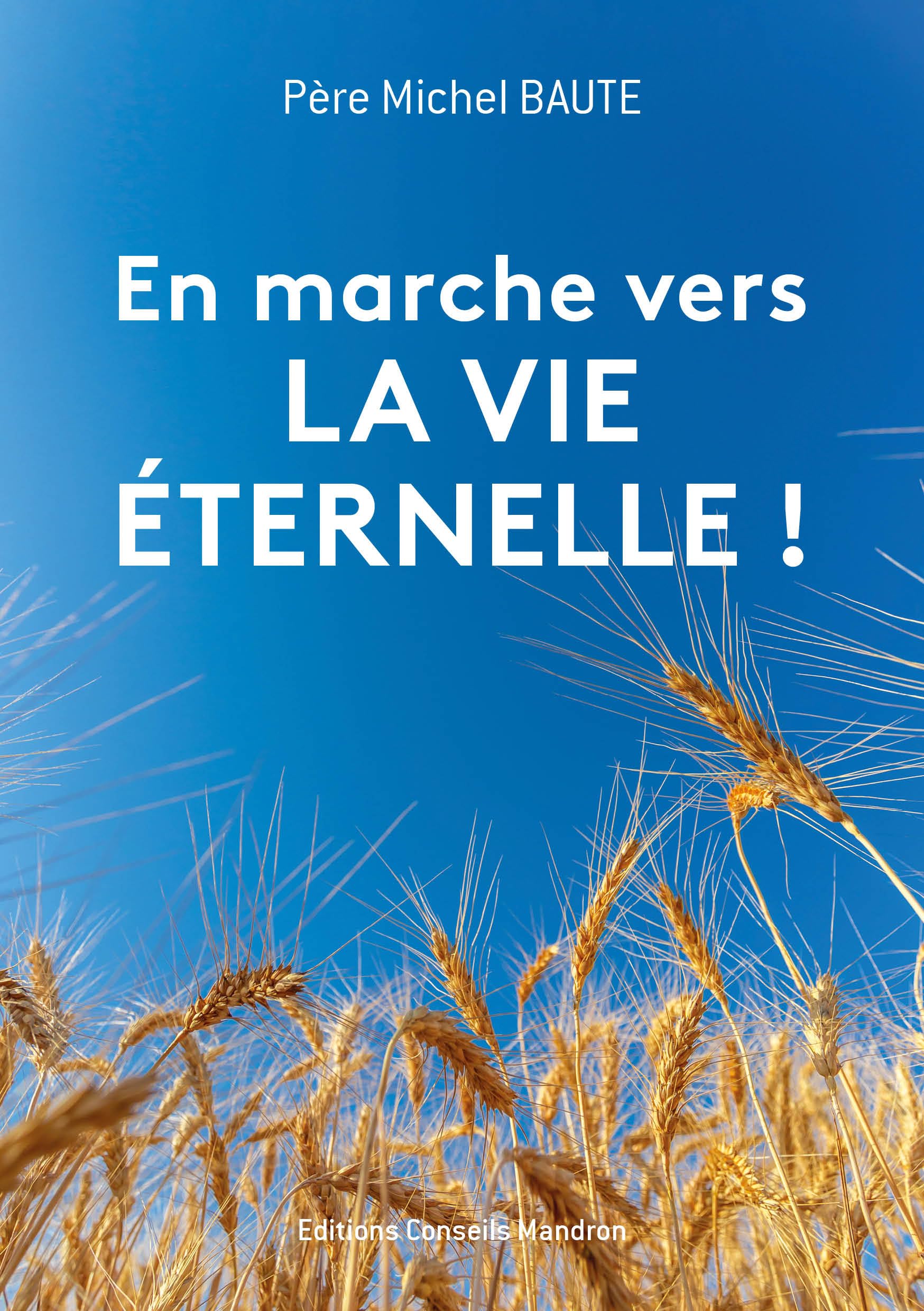 En marche vers LA VIE ETERNELLE ! du Père Michel Baute Prêtre Chapelain au Sanctuaire Notre-Dame de Lourdes book