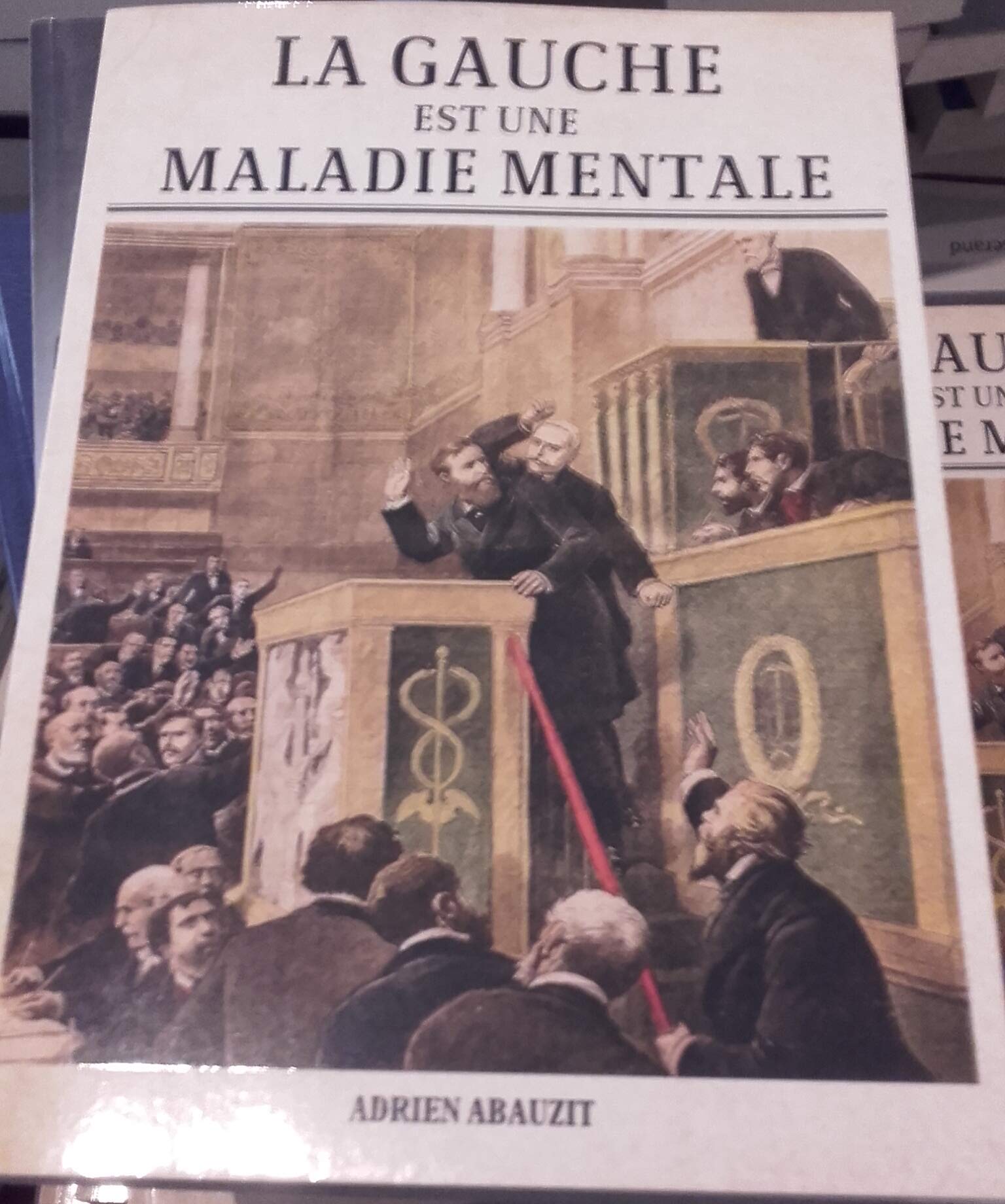 La gauche est une maladie mentale Books