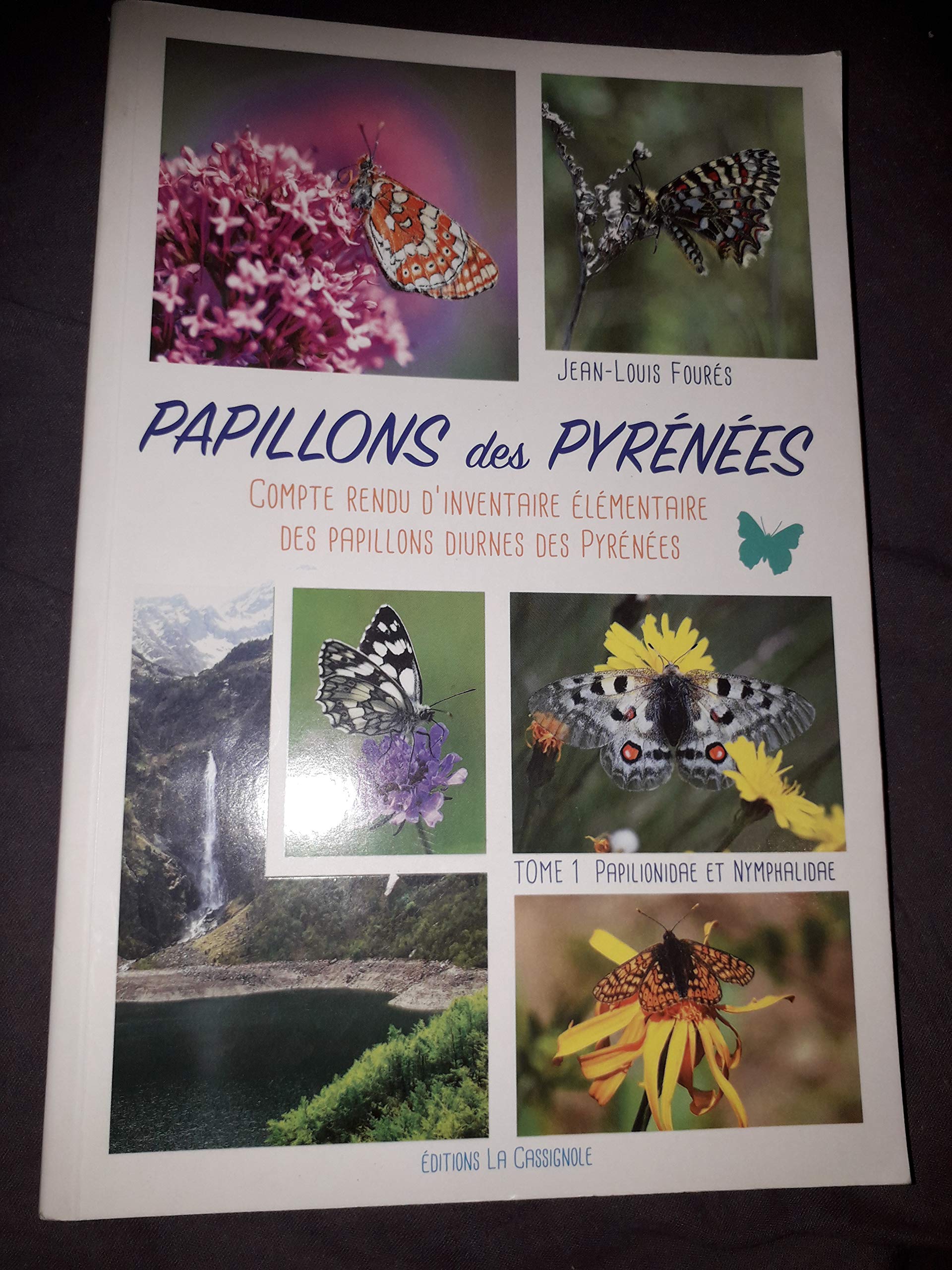 PAPILLONS DES PYRÉNÉES TOME 1 book