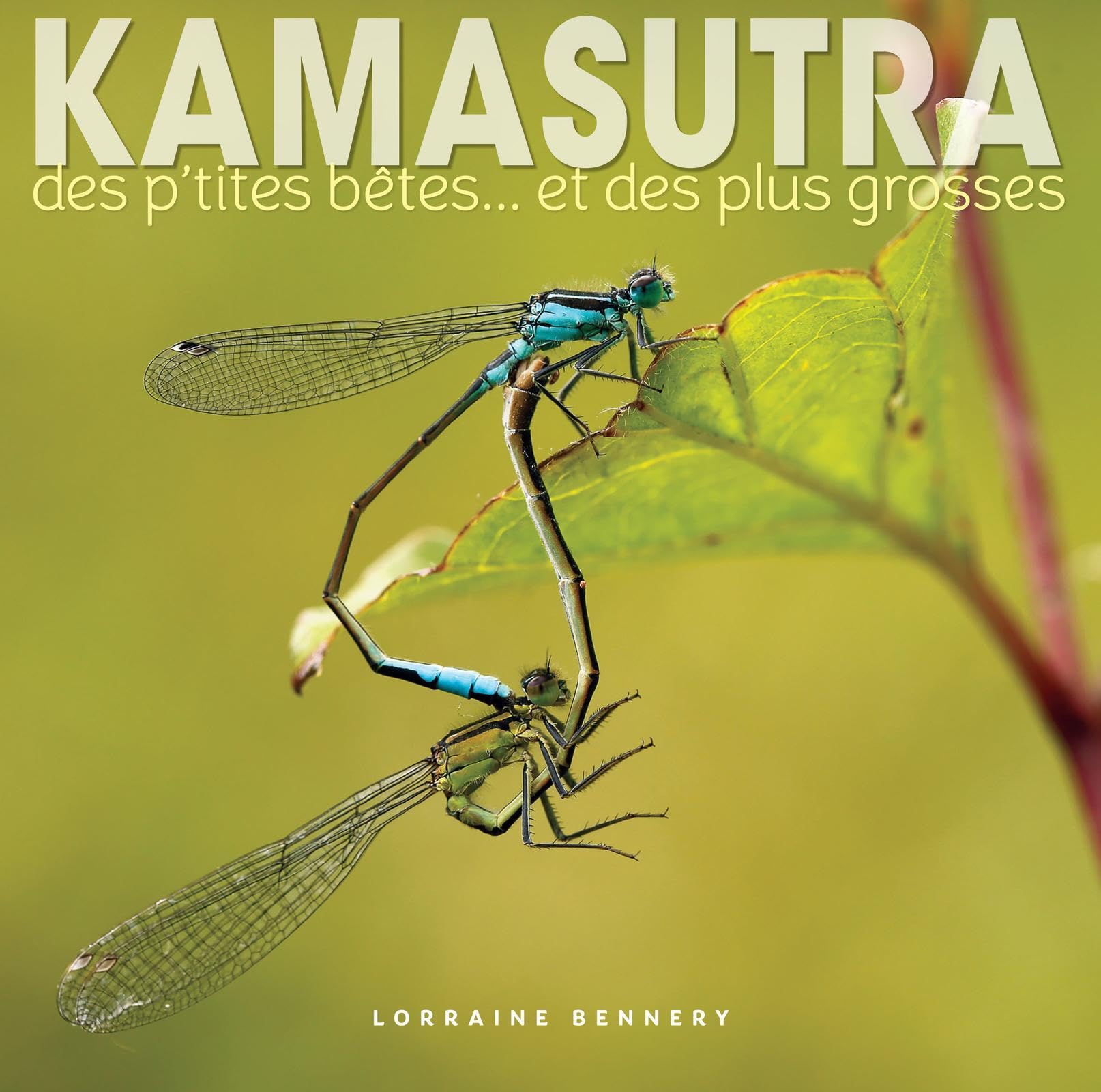 Kamasutra des p'tites bêtes... et des plus grosses book