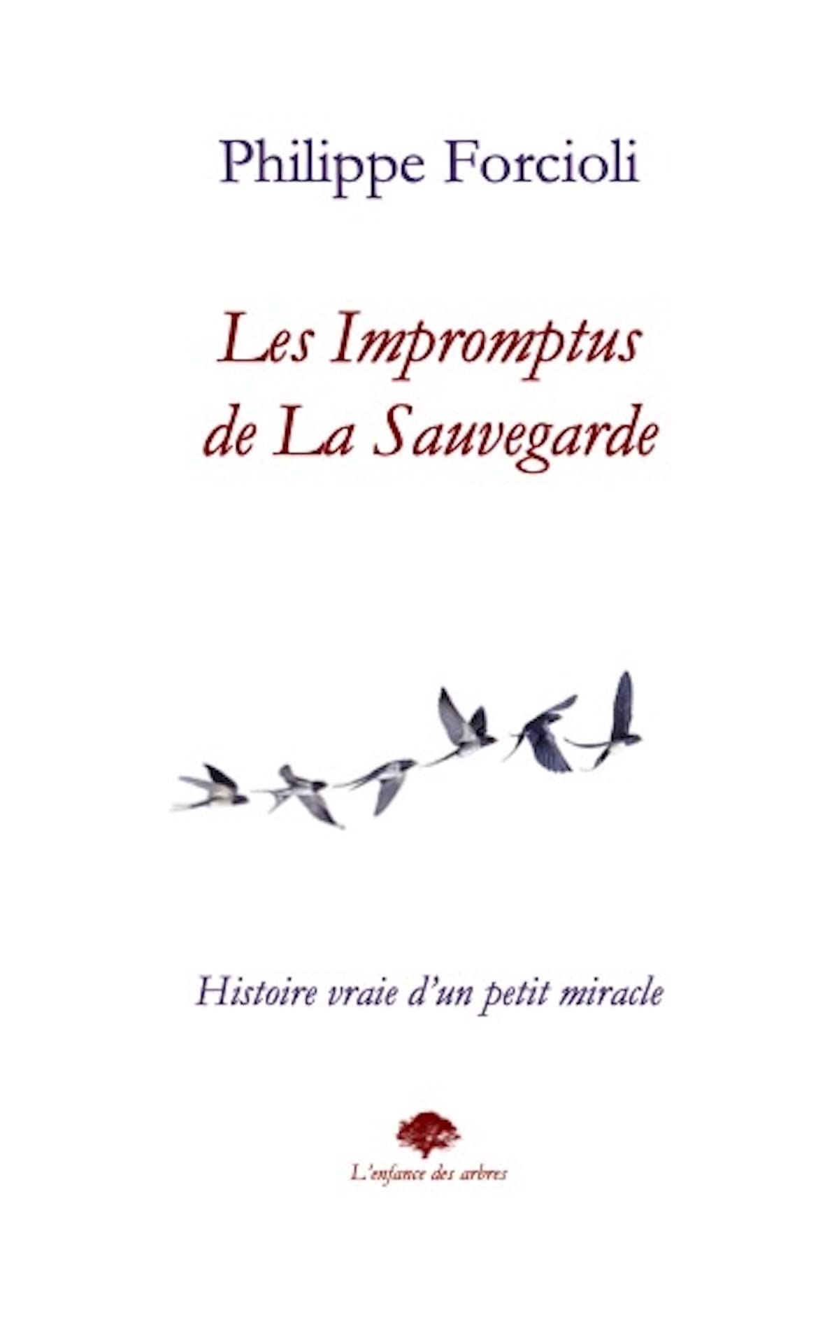 Les impromptus de la sauvegarde: Histoire vraie d'un petit miracle book