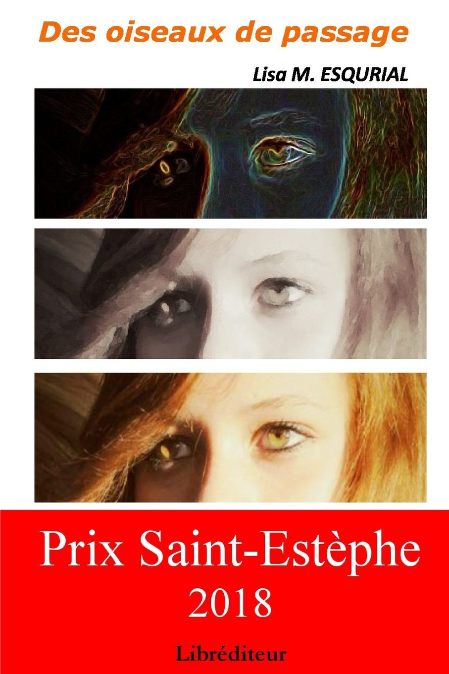 Des oiseaux de passage Contemporary literature
