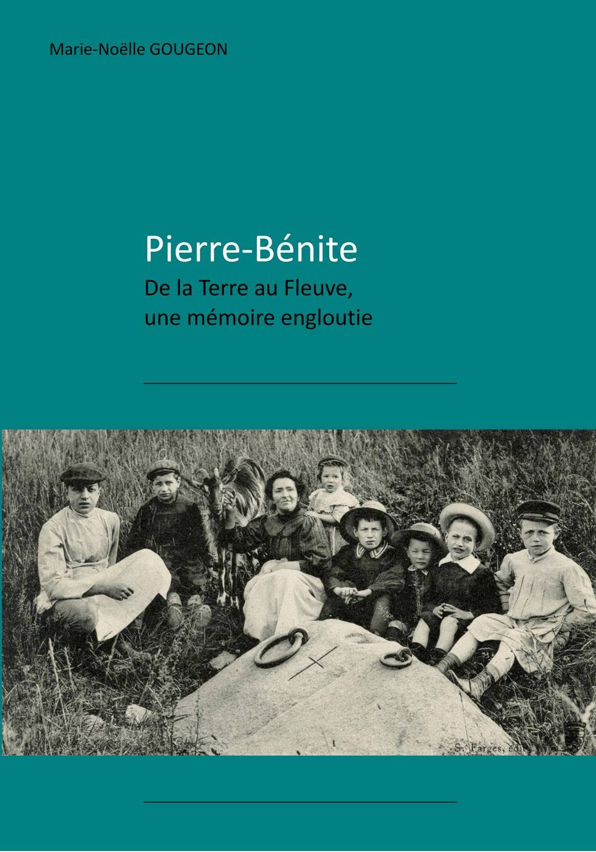 Pierre-Bénite: De la Terre au Fleuve, une mémoire engloutie book