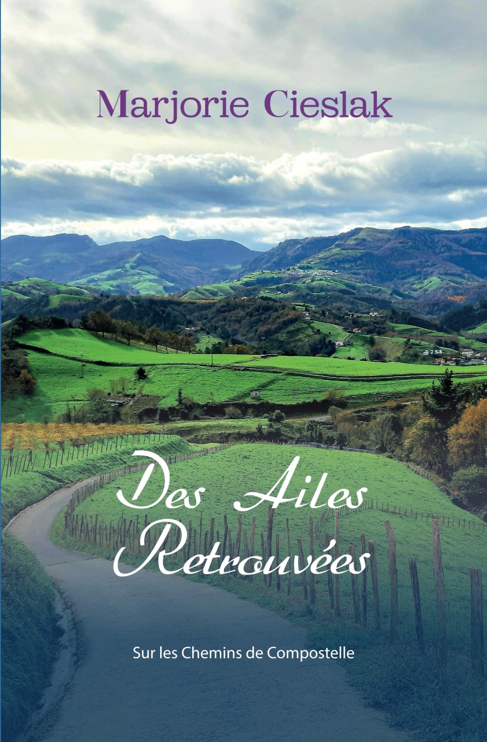 Des Ailes Retrouvées: Sur les Chemins de Compostelle book