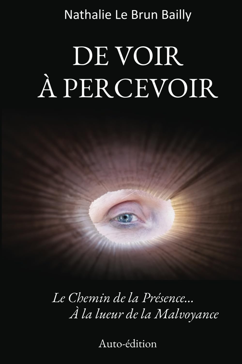 DE VOIR À PERCEVOIR: Le Chemin de la Présence… À la lueur de la Malvoyance book