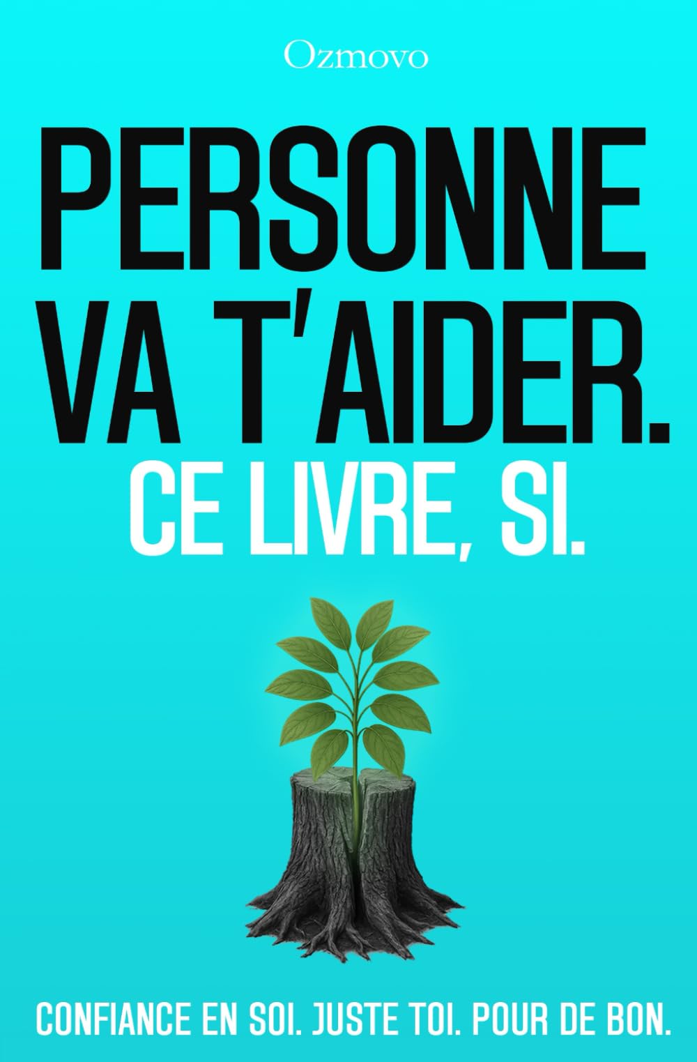 Personne va t'aider. Ce livre, si.: Confiance en soi. Juste toi. Pour de bon. book
