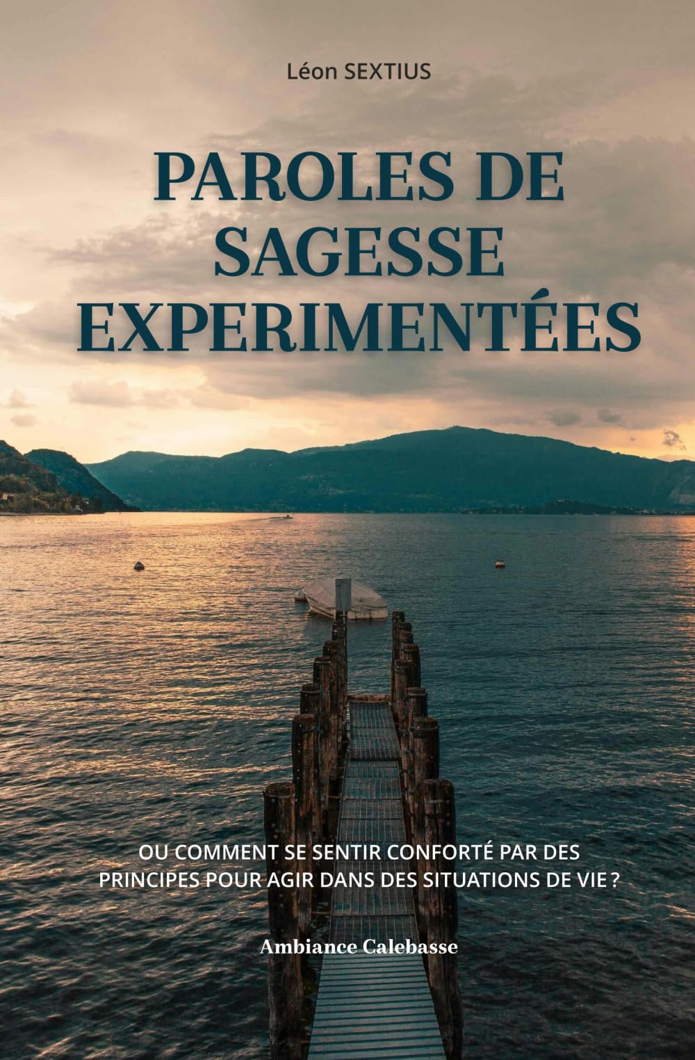 Paroles de sagesse expérimentées: Ou comment se sentir conforté par des principes pour agir dans des situations de vie ? book