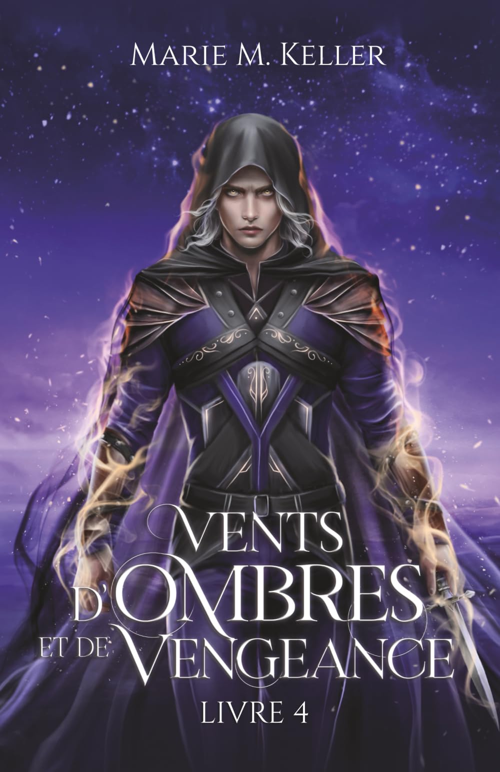 Vents d'Ombres et de Vengeance (Ombres t. 4) book