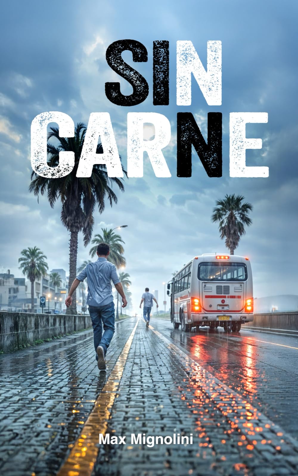 Sin carne: Clermont, Montevideo, Islande. Deux vies dans le décor… un ticket brûlant pour gravir les cendres. book