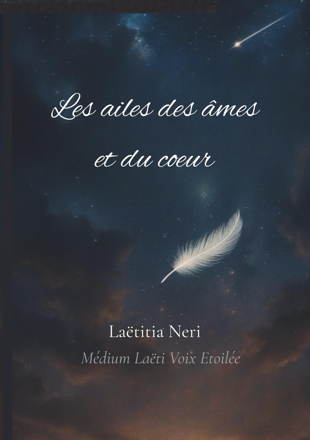 Les ailes des âmes et du coeur: Témoignage vibrant d'une médium à l'écoute de l'invisible book