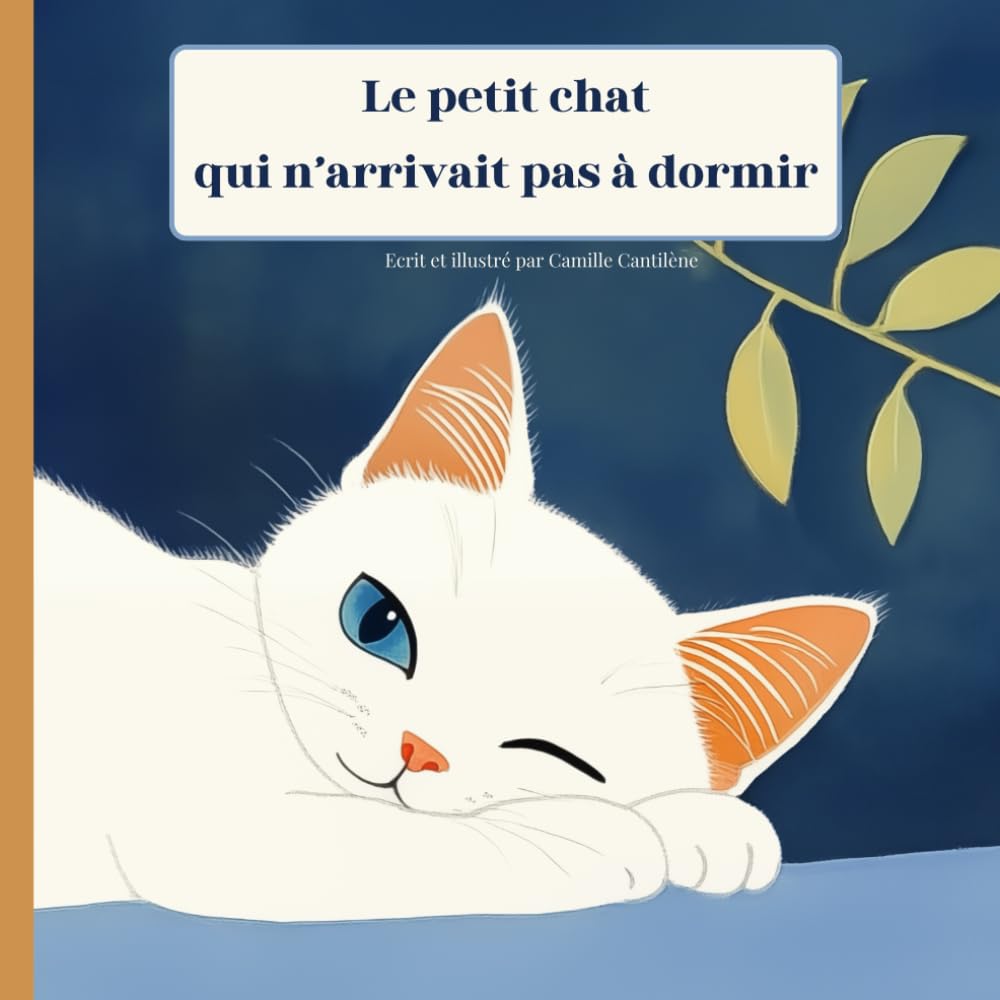 Le petit chat qui n’arrivait pas à dormir: Livre illustré pour enfant de 2ans à 6ans, histoire du soir pour bébé, album de jeunesse sur ... pour jeunes enfants, texte en français book