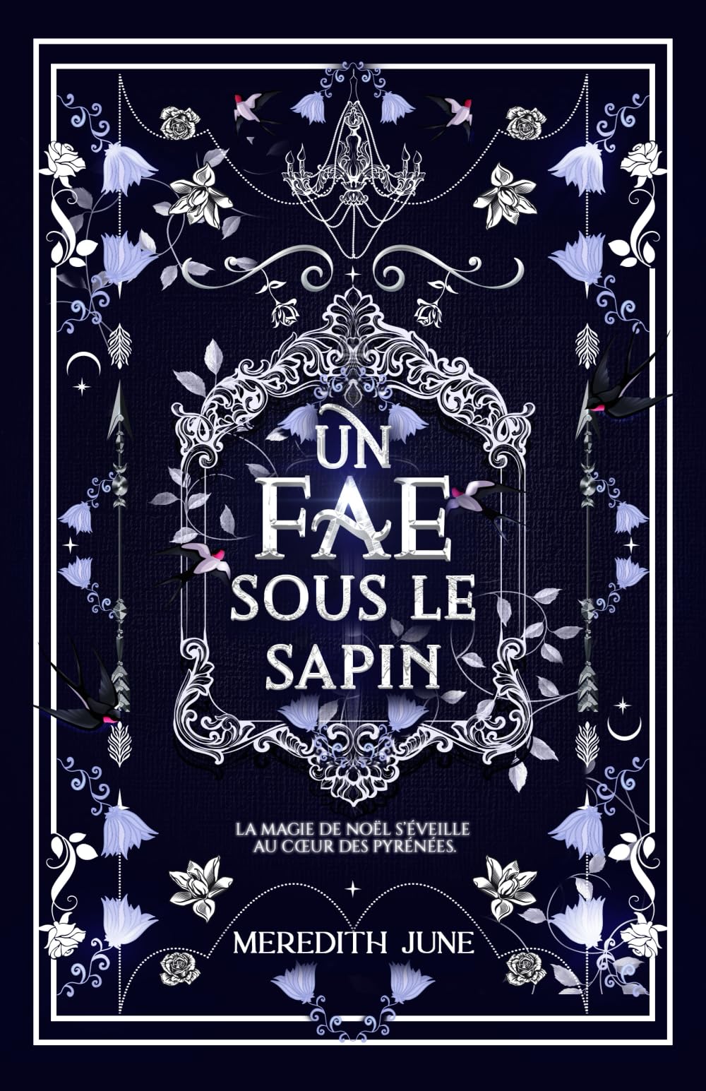 Un fae sous le sapin: Romance dans les Pyrénées book