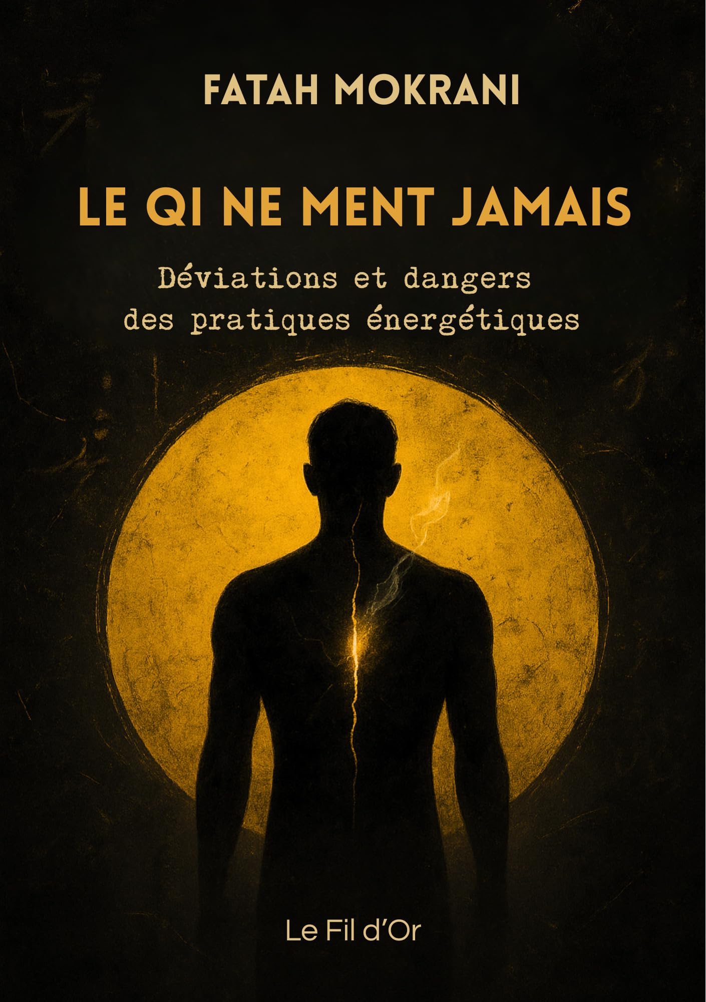 Le Qi ne ment jamais: Déviations et dangers des pratiques énergétiques book