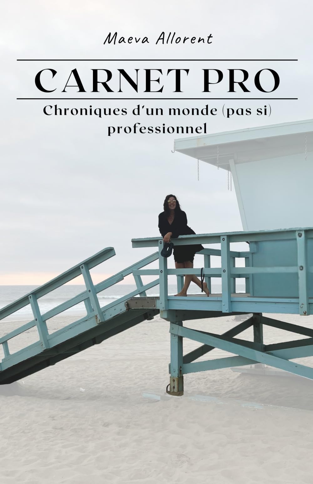 Carnet Pro - Chroniques d’un monde (pas si) professionnel book