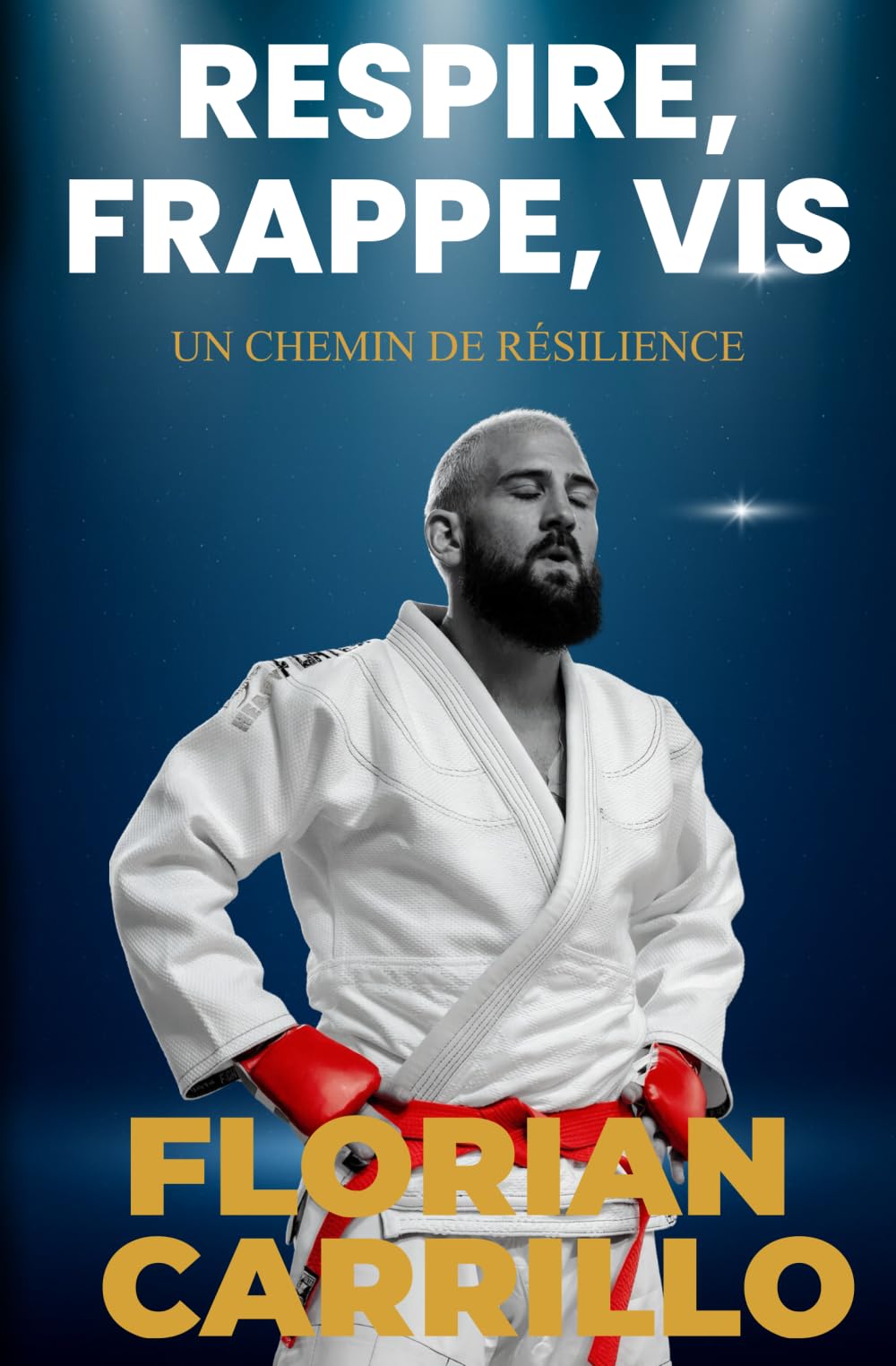 Respire, Frappe, Vis: Un chemin de résilience book