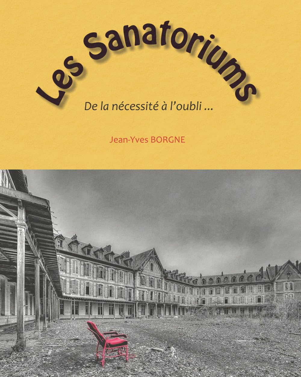 Les sanatoriums: De la nécessité à l'oubli ... book