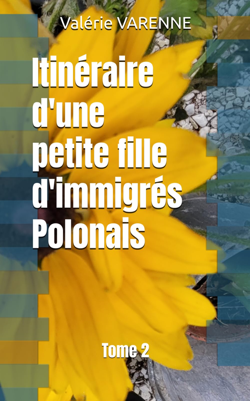 Itinéraire d'une petite fille d'immigrés Polonais Tome 2 book