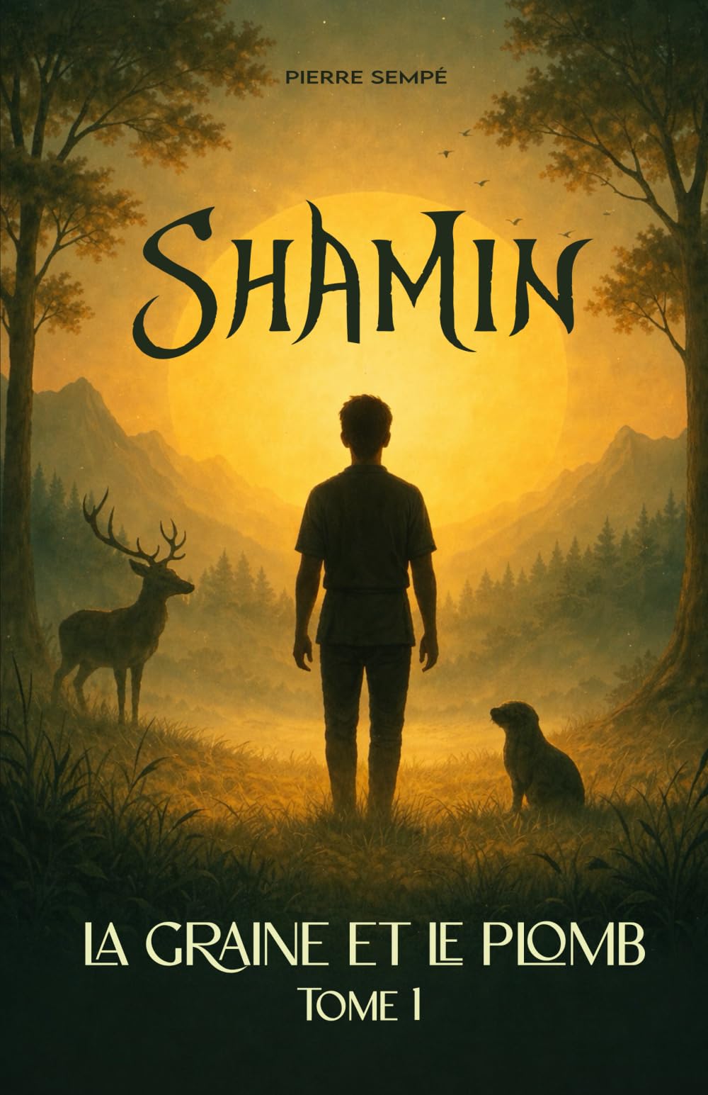 Shamin: La graine et le plomb - Tome 1 book
