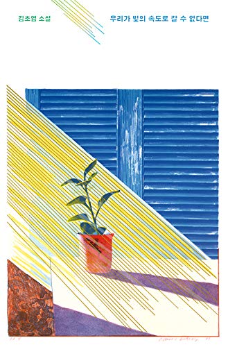 우리가 빛의 속도로 갈 수 없다면 Books