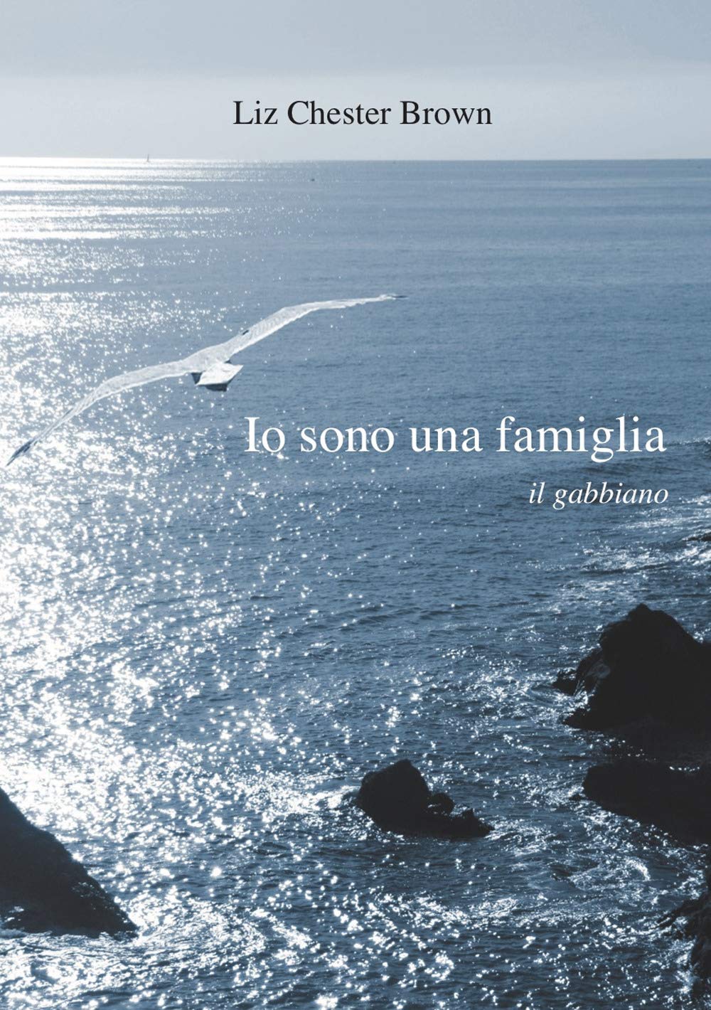 Io sono una famiglia. Il gabbiano book