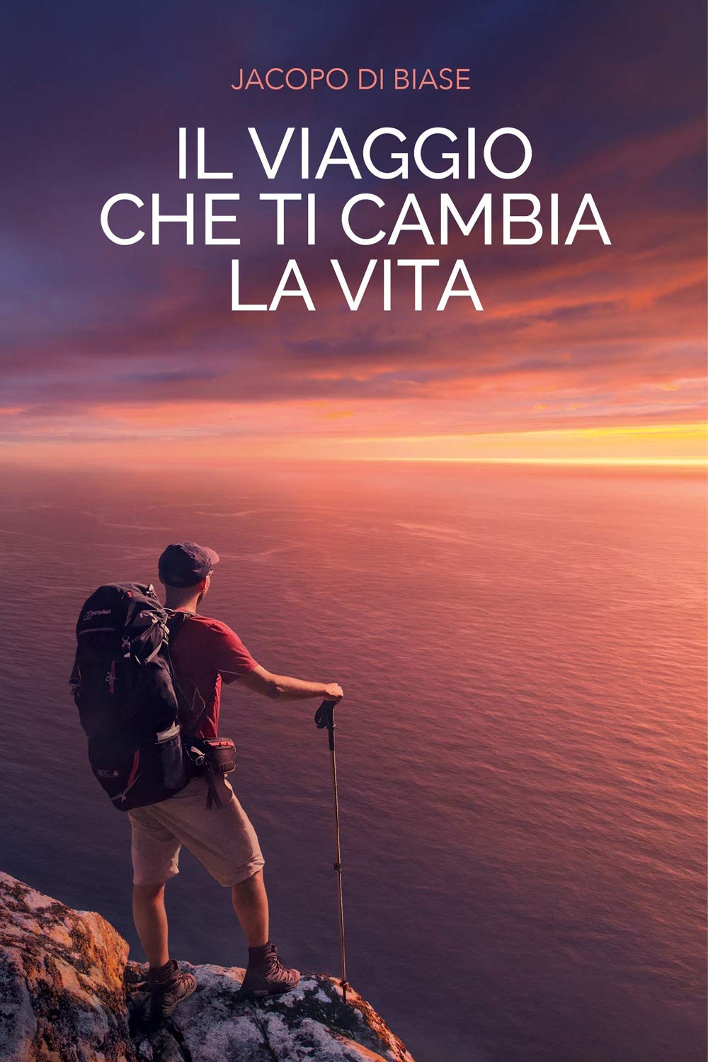 Il viaggio che ti cambia la vita book