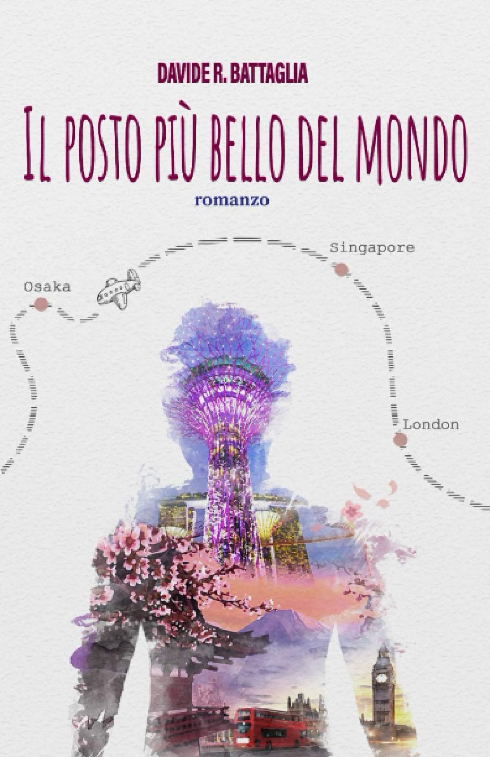 IL POSTO PIÙ BELLO DEL MONDO book