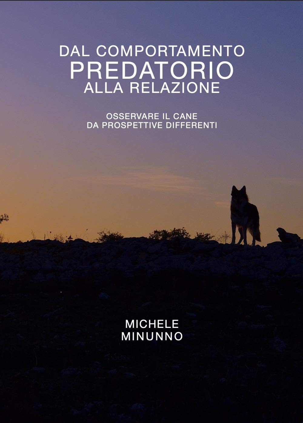 Dal comportamento predatorio alla relazione: Osservare il cane da prospettive differenti Pets