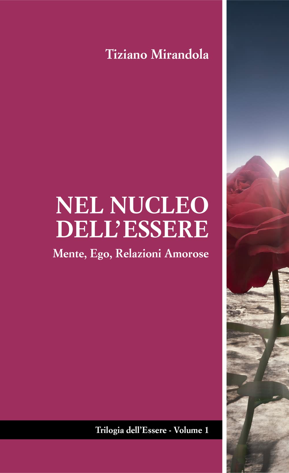 Nel nucleo dell'essere. Mente, ego, relazioni amorose book