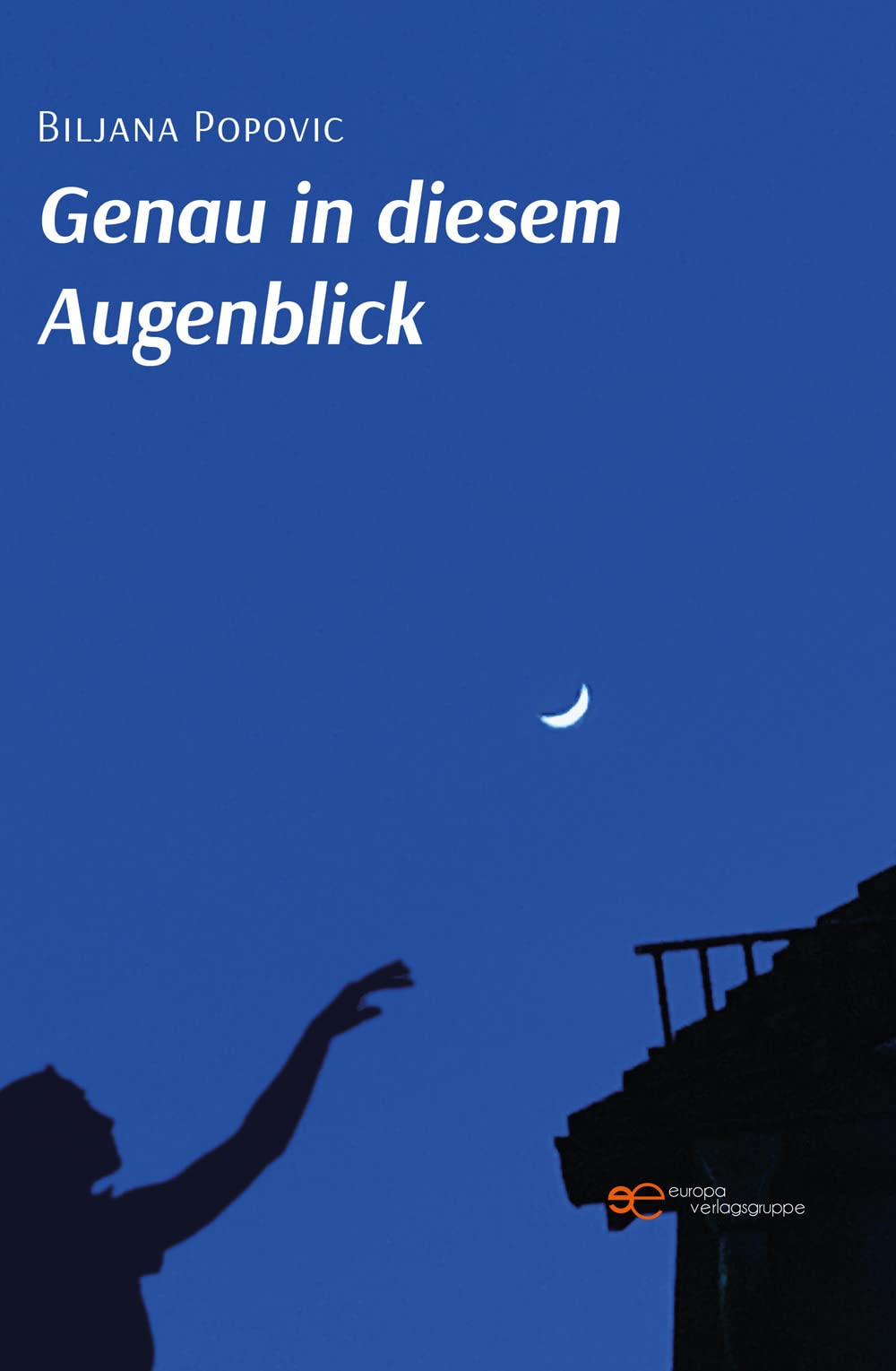 GENAU IN DIESEM AUGENBLICK book