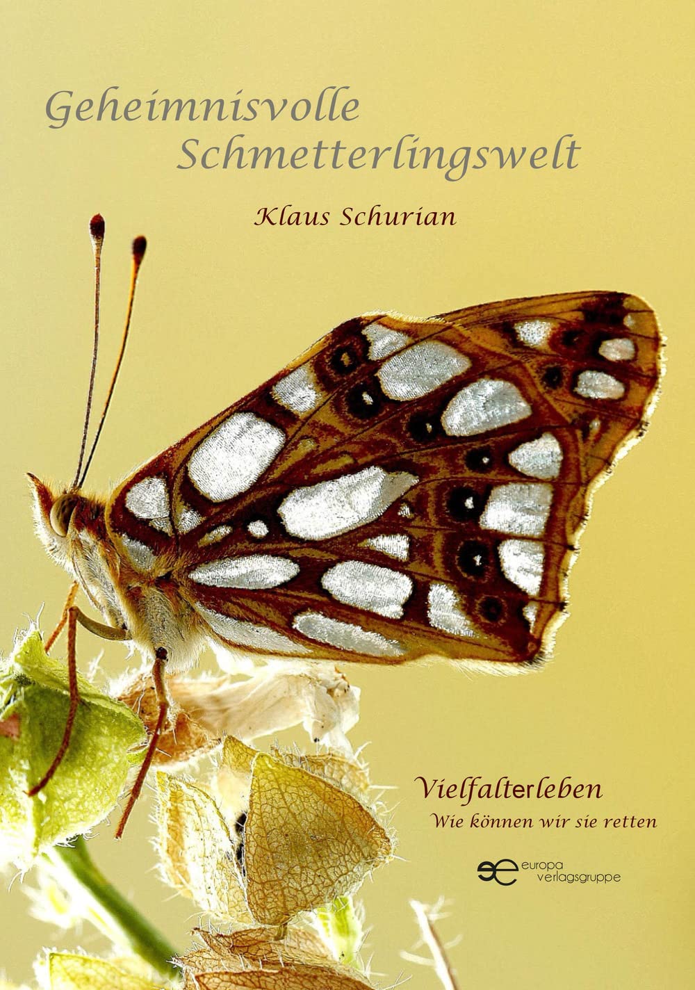 GEHEIMNISVOLLE SCHMETTERLINGSWELT (Globus) Leisure, Home & Garden